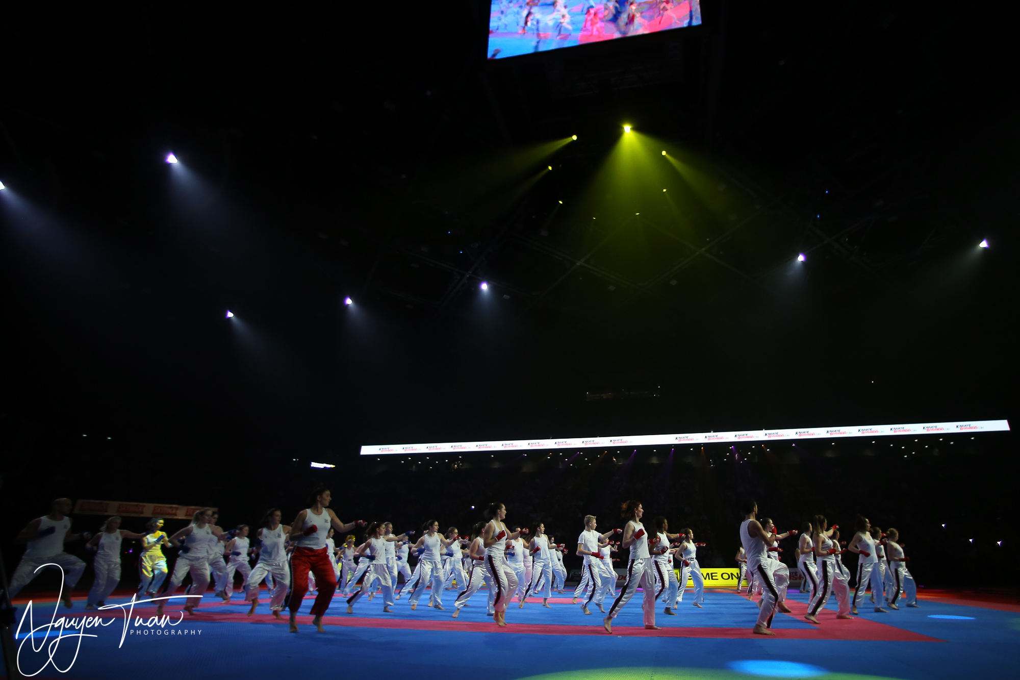 20190324 Festival des Arts Martiaux 2070